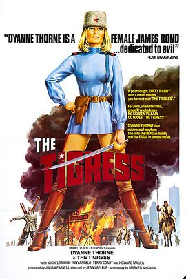 专业seo网络优化